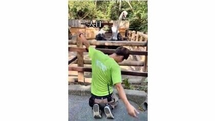 ダチョウが踊り返すのはなぜ? 飼育員のキレキレの踊りに対抗…生態を聞いてみた