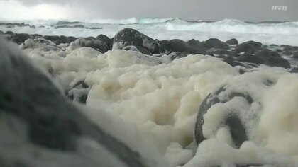 まるで「雪」…海水が荒波にもまれて泡状になった「波の花」五島列島の冬の海で“かれん”な自然現象