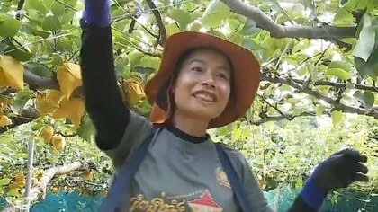 人手不足に悩む農家に「即戦力」 長崎から鳥取へ「農繁期のズレ」に着目 特定技能外国人材のリレーで雇用確保