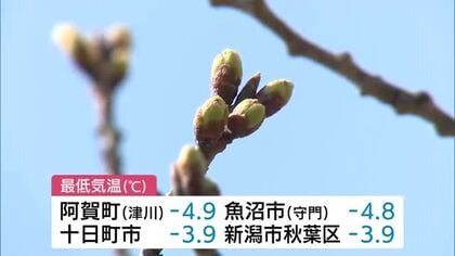 県内 青空広がるも放射冷却現象で寒い朝に・・・【新潟県】