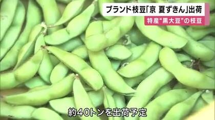 北近畿から”夏野菜”出荷の便り　ブランド枝豆に特産のピーマン