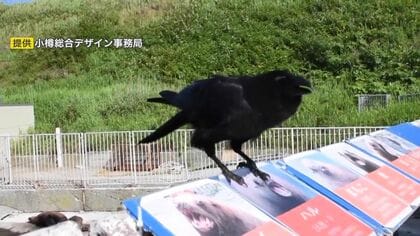 カラス様注文専用(他のお客様はご遠慮ください) カラスに注意（子育て中） | ビジネス文書 テンプレート | プリント