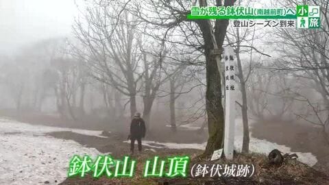 春のトレッキングにおすすめ  標高761ｍの鉢伏山　今庄365スキー場から登る2キロの初心者向けコース　福井