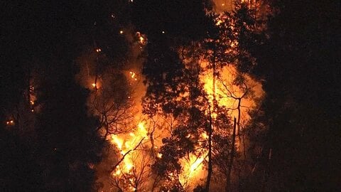 山火事が集落に迫り住民に避難指示　9日朝から自衛隊ヘリが消火活動 山梨・上野原市