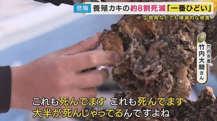 「口が開いちゃってる。80％ぐらい死んじゃってる」