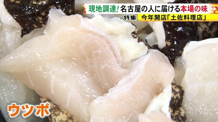 ニュースONE