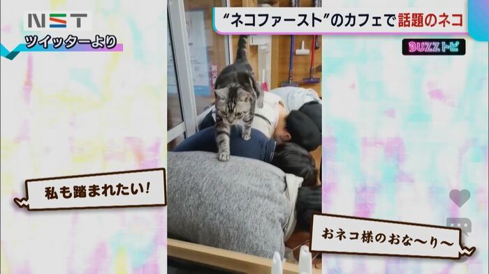 SNSで話題に