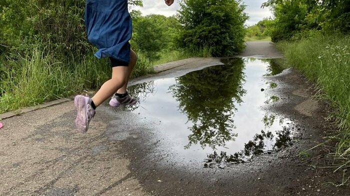 かなりの大きさの水たまりだ