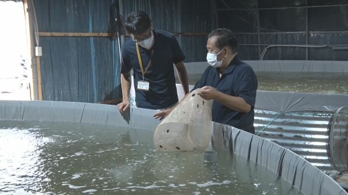 佐渡市農林水産振興課 伊藤誠 係長(左)