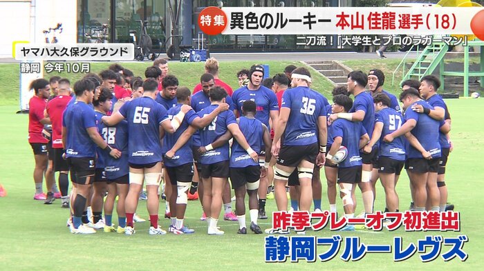 静岡ブルーレヴズ