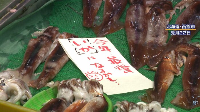 10月22日北海道・函館市の鮮魚店「今年最後のイカになるかも…」