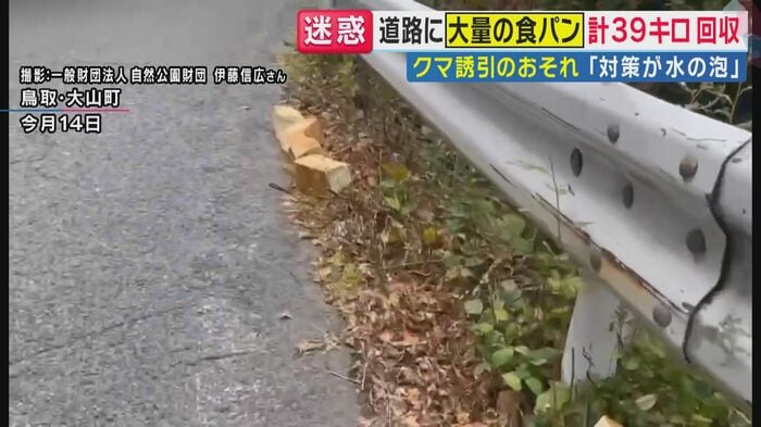道路に捨てられた食パン