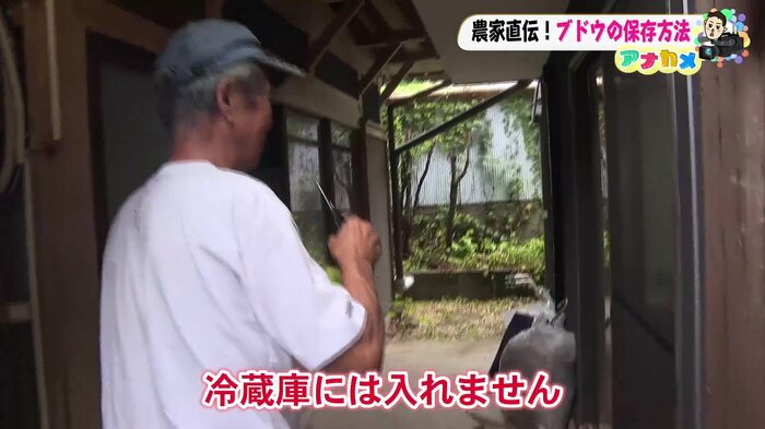 土居さん「そのまま冷蔵庫には入れません」