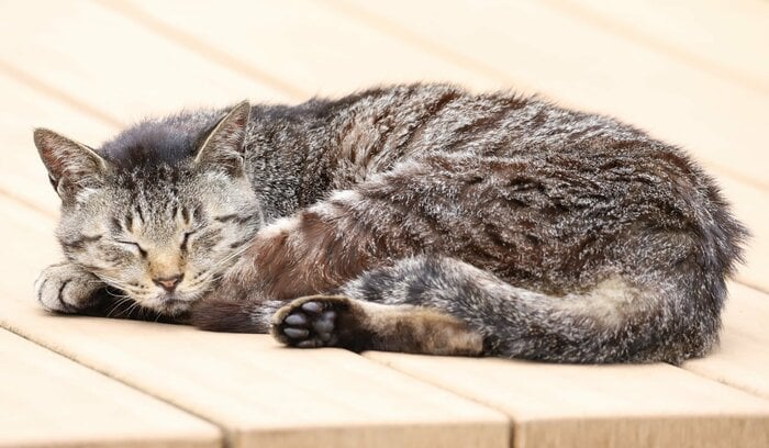 右側が下だと左目の視界が体で遮られる（画像はイメージ）