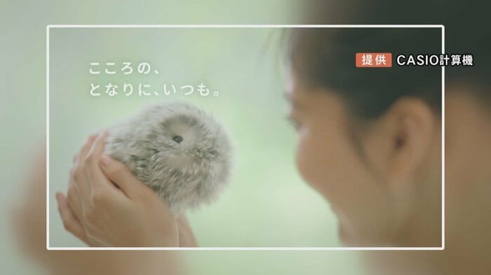 ニュースONE