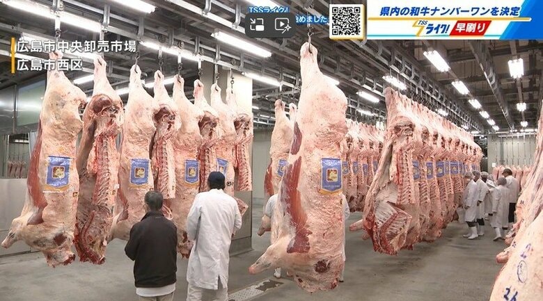 「価格は高いが品質は上々」広島県産 牛肉の品評会　出品２３頭中１９頭が最高ランクの「A５」に｜FNNプライムオンライン