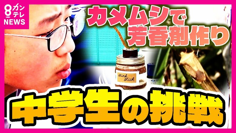 「カメムシ」で芳香剤作る研究中　“いいにおい”するカメムシ中学生が捕まえ芳香剤の試作品が完成　商品化できるか？｜FNNプライムオンライン