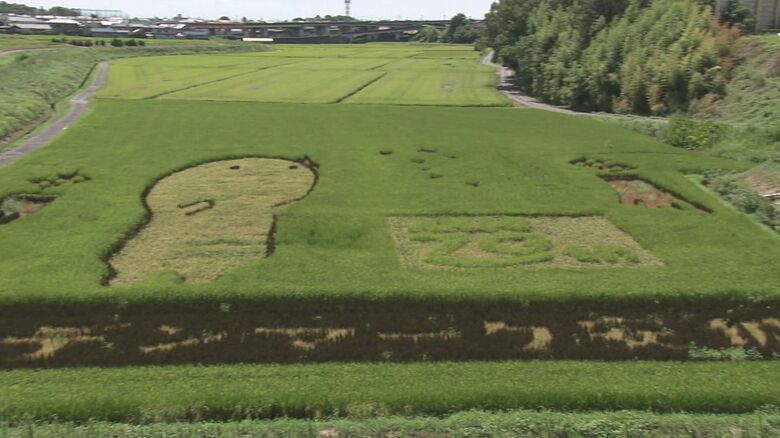 “日本のデンマーク“　田んぼアートで、キャラクター「きーぼー」がお出迎え【愛知発】｜FNNプライムオンライン