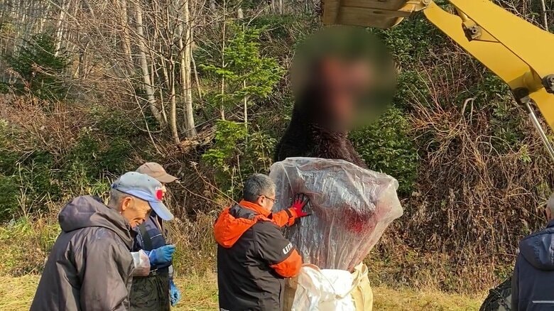 【ヒグマ速報】北海道苫前町で大型のクマ駆除_11月中旬に目撃されたシカ肉入った重さ300キロ箱わな揺さぶる約400キロの巨大グマと同一の個体の可能性｜FNNプライムオンライン