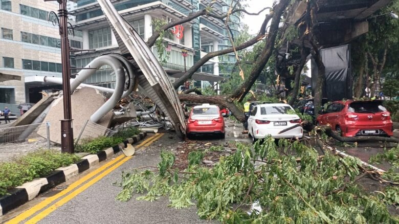 大木が道路に倒れ車17台が下敷き1人死亡　日系企業入居のオフィスビル敷地内で　マレーシア・クアラルンプール｜FNNプライムオンライン