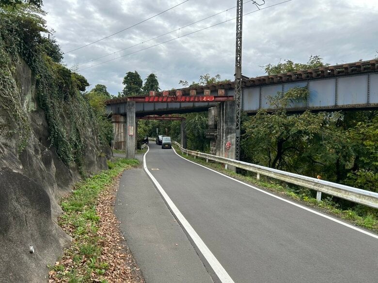 【異例の事故】仙台の県道でクマと自転車が衝突し６０代男性けが　親子グマ３頭は現場から立ち去る｜FNNプライムオンライン