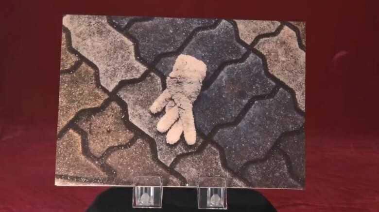 紙、遊具、手袋、サザエさん!?個性豊かな“マニア”たちが大集合｜FNNプライムオンライン