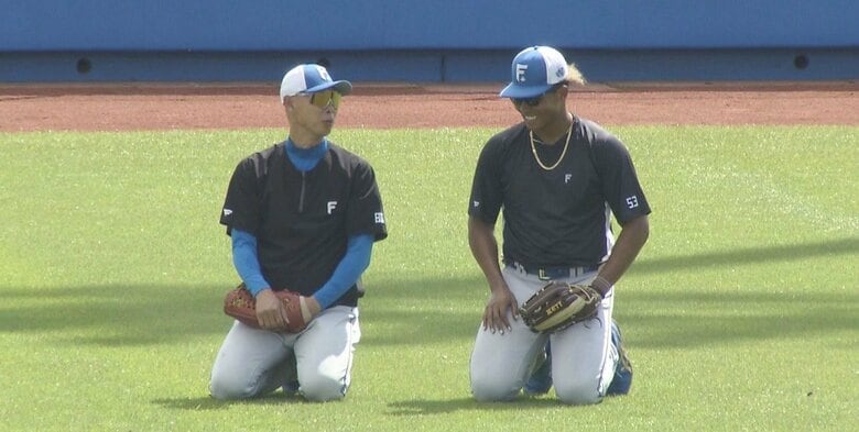 【ファイターズ】球場が沸いた！水谷瞬が打球を後逸し森本コーチと正座！新庄監督も期待の大砲！有薗直輝が1軍合流｜FNNプライムオンライン