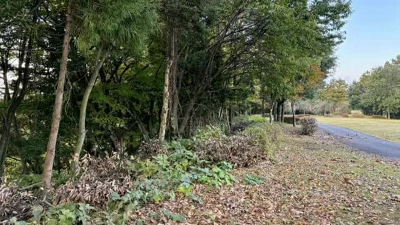 【速報】立山町の総合運動公園周辺でクマ確認　緊急銃猟の実施へ｜FNNプライムオンライン