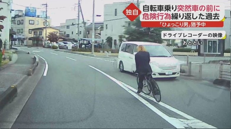 自転車 ひょっこり