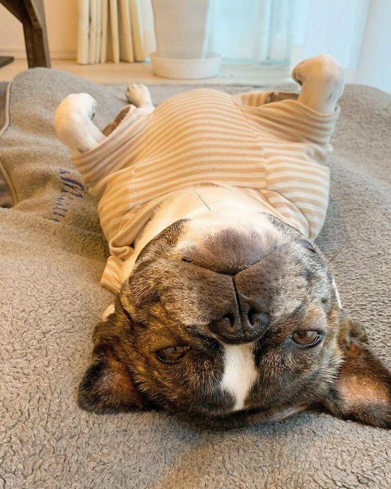 提供：丸男さん