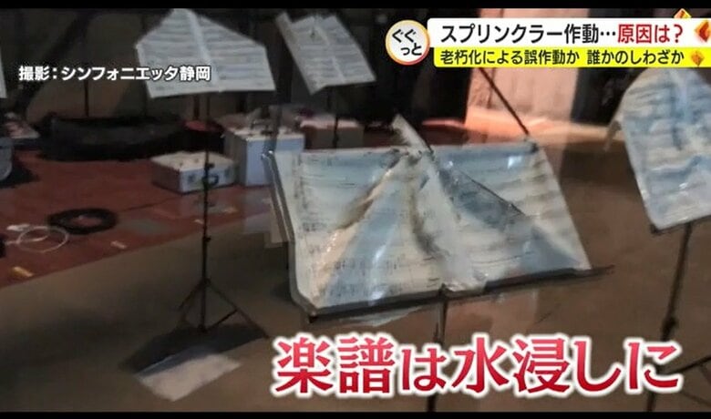 （シンフォニエッタ静岡撮影）