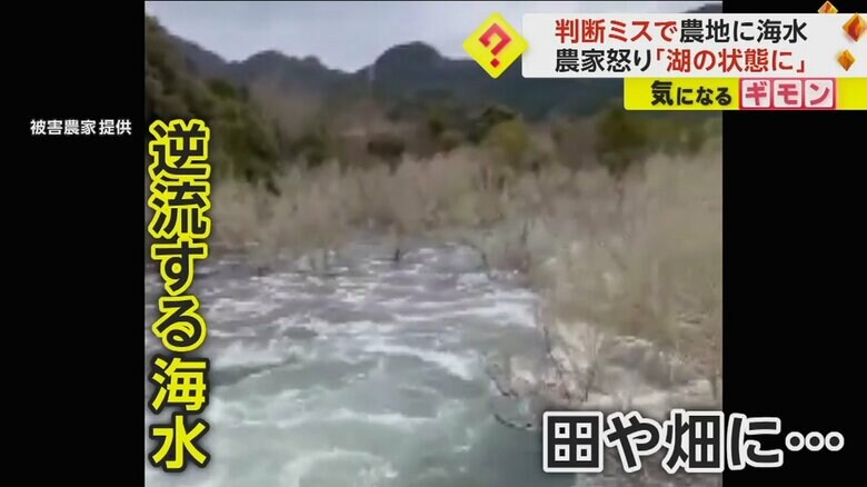 農地に向かって逆流する海水