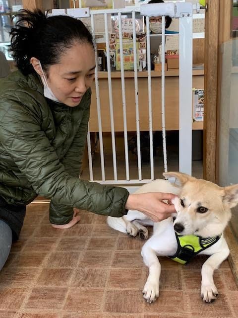 譲渡センターに会いに行ったときの緤。まだ目を合わせられなかった （撮影／西尾まり）