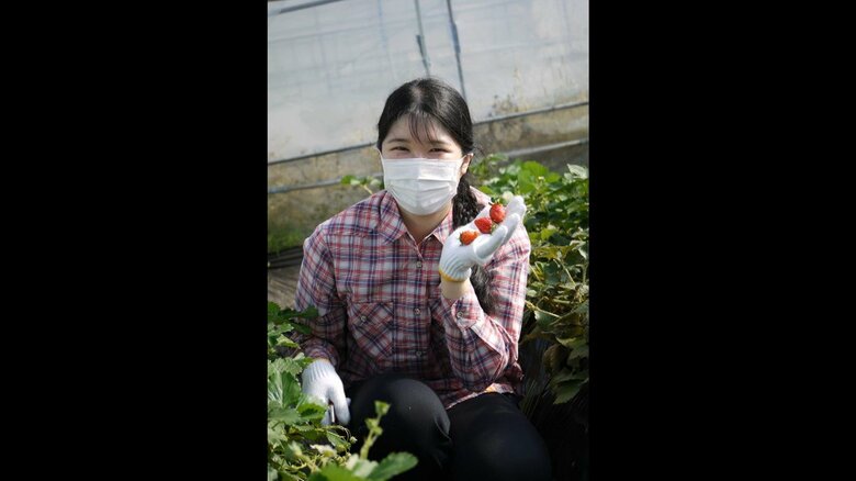 収穫したイチゴを手に笑顔の愛子さま　 2023年4月、栃木県の御料牧場でご静養（宮内庁提供）