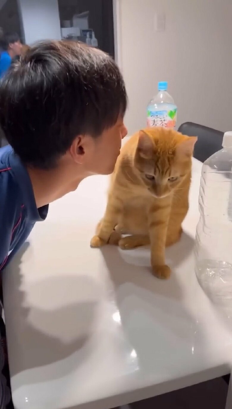 するりとよけるとらまるくん