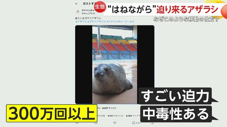 話題となった投稿画像