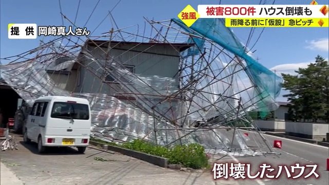 提供：岡崎真人さん