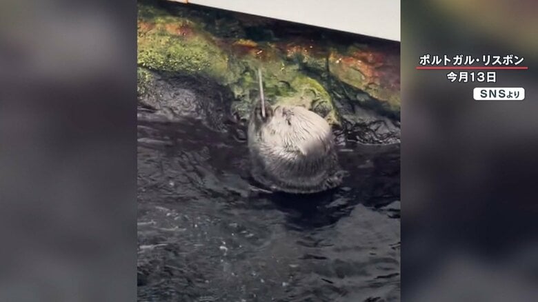 動画が話題に　2週間足らずで約410万回以上再生