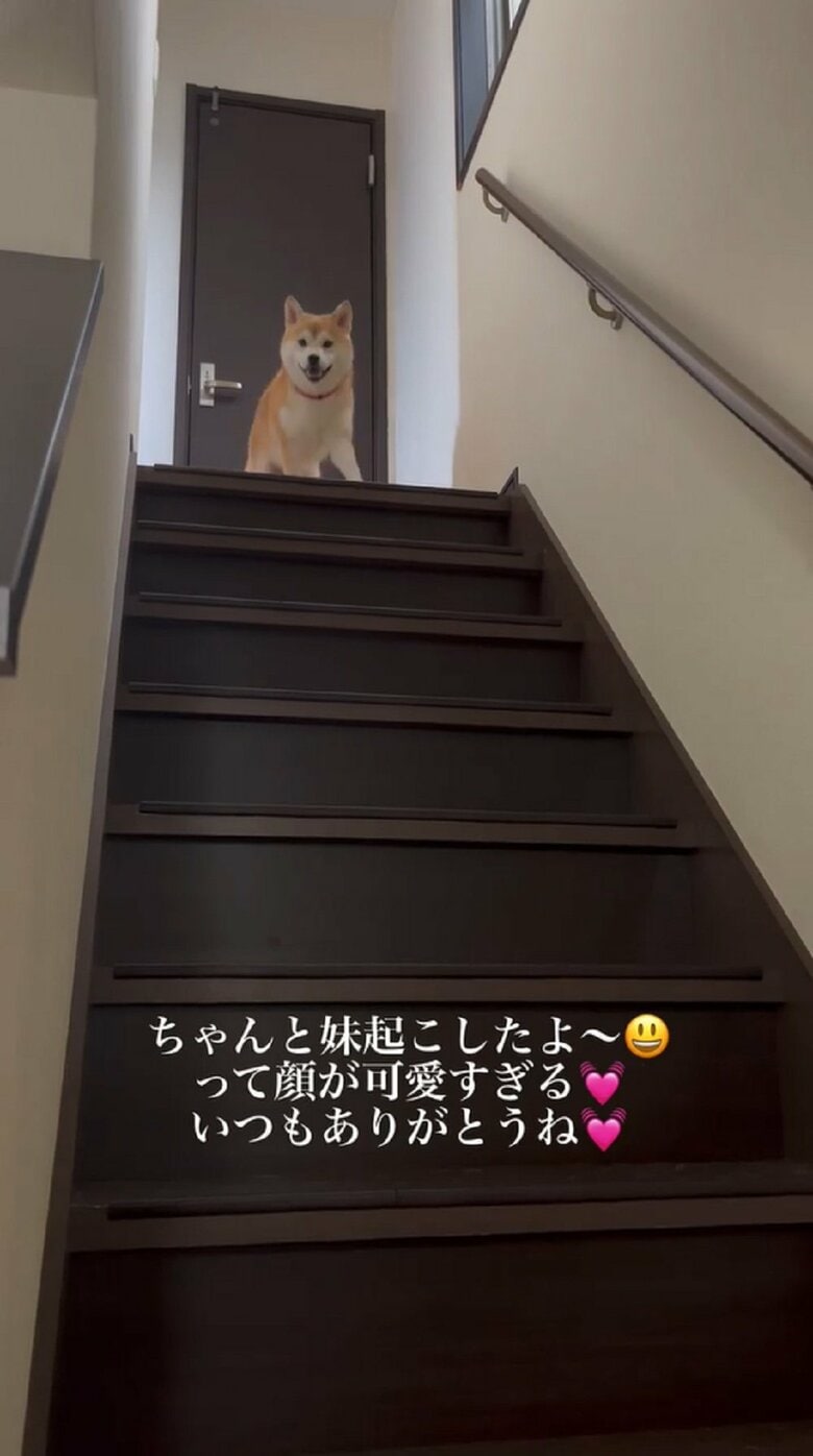 「起きたよ」と豆ちゃんが姿を現す