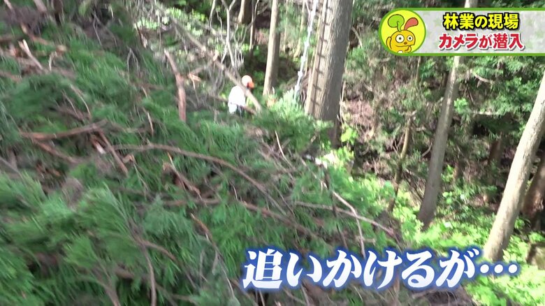 山の斜面に悪戦苦闘する記者