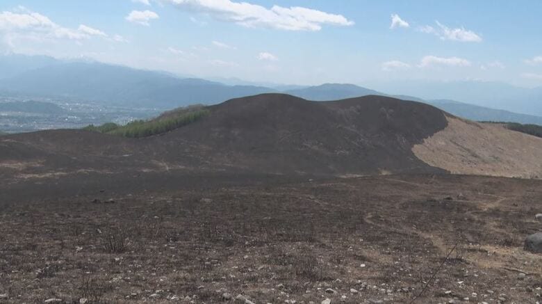 黒く焼け焦げた山肌　火災から1週間（5月11日）