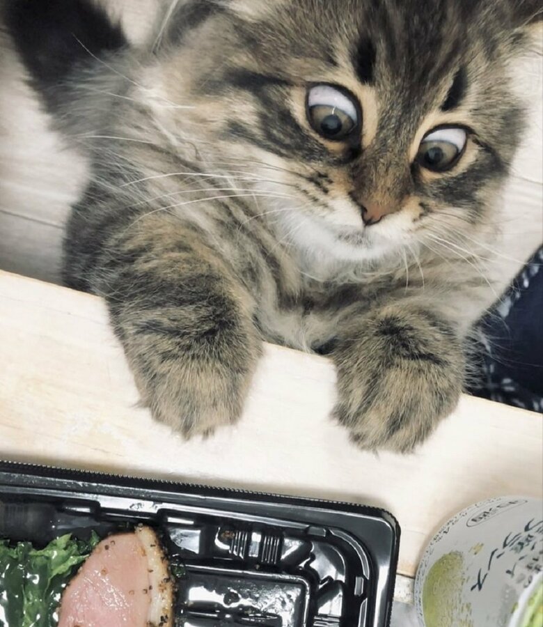 おいしそう！