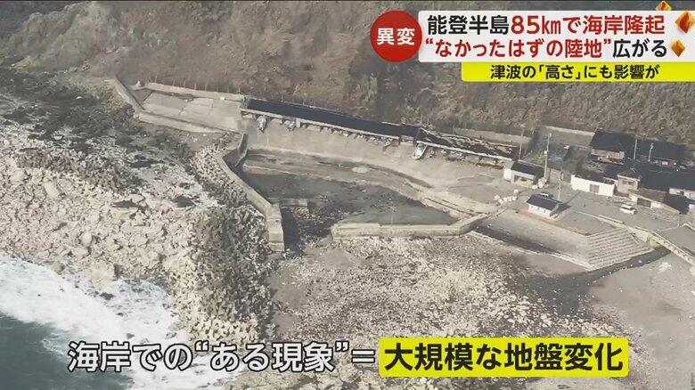 海岸の地盤に変化が…