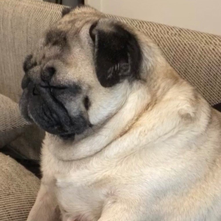 抱えられながら、居眠りすることも