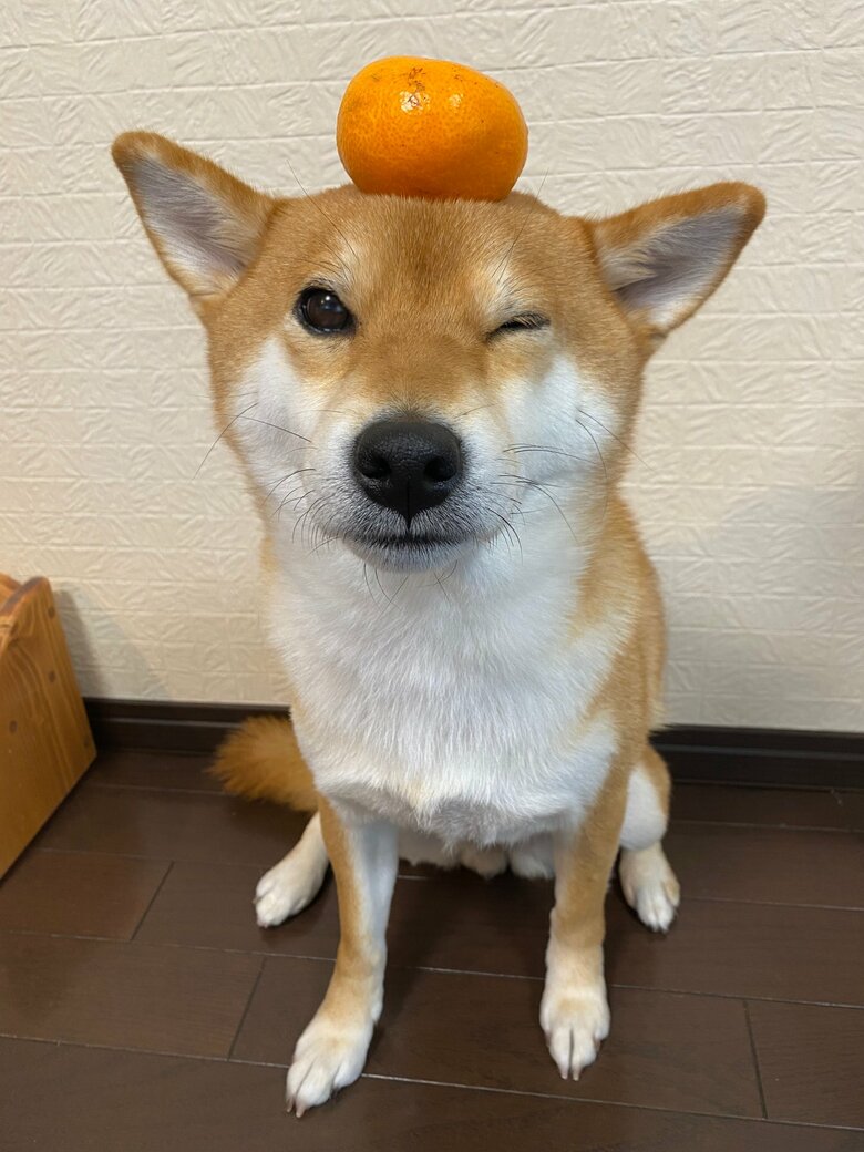 ウインクする姿も可愛い