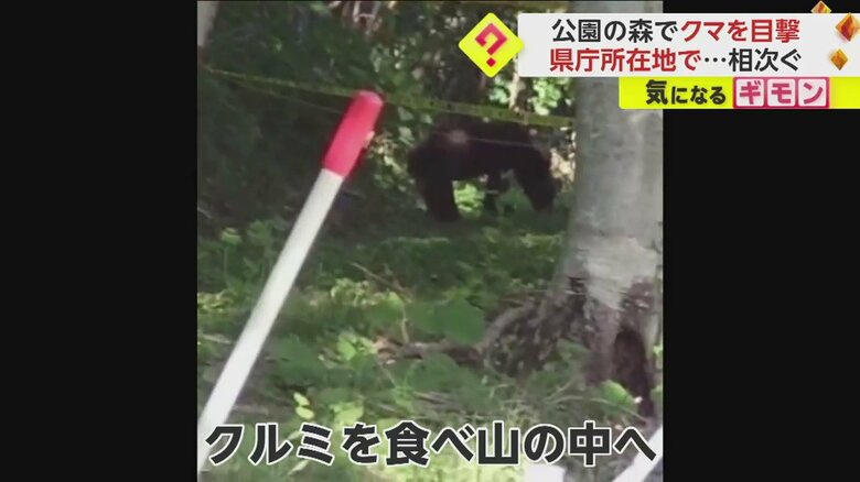 （FNN投稿サイト「ビデオPost」）