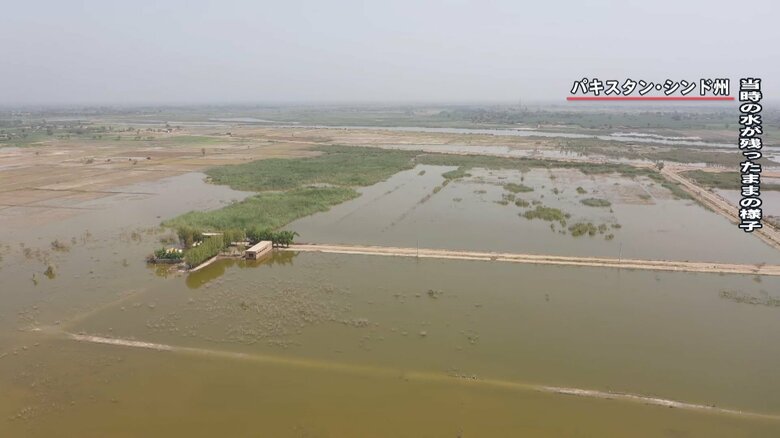 約1年前の洪水の水が残ったままの大地