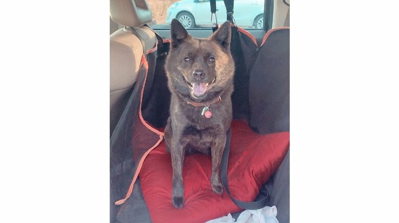 車に乗れて笑顔のななちゃん