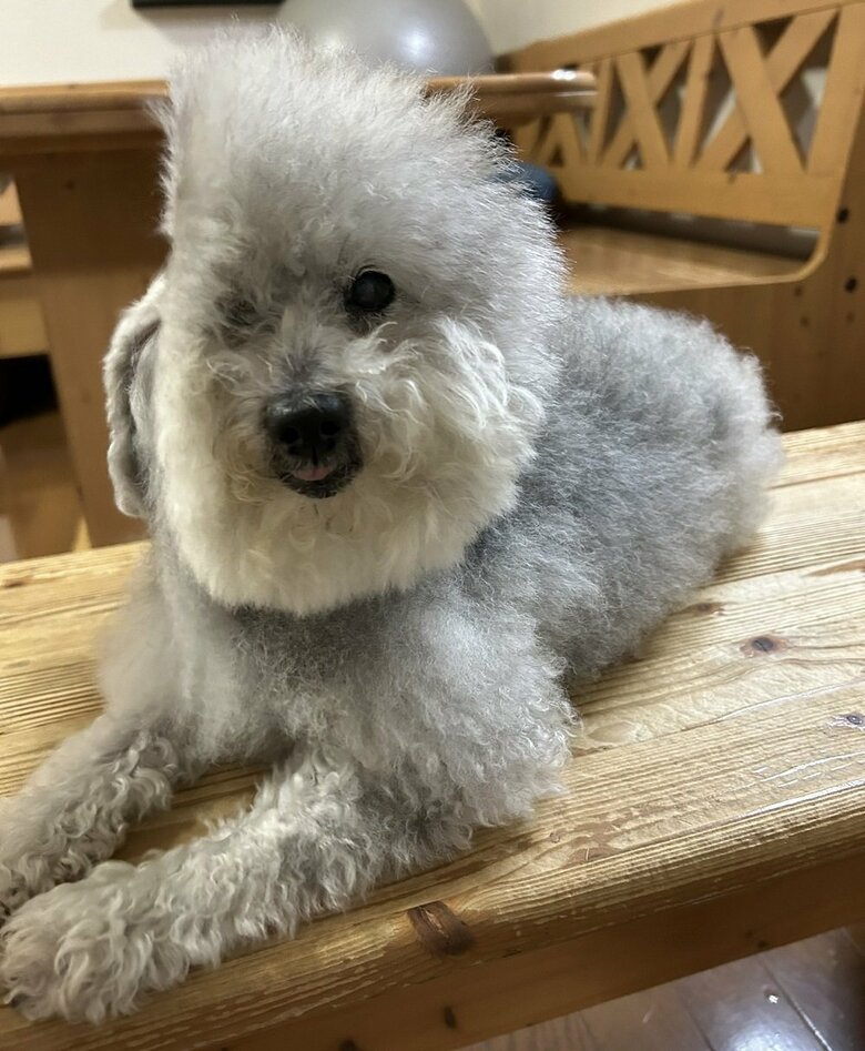 顔が削れている！？実は扇風機の風が当たっているだけ