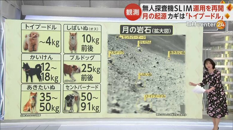 さまざまな犬種名が付けられている月の岩